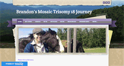 Desktop Screenshot of brandonsmt18journey.com